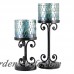 Rosecliff Heights 2 Piece Iron Candlestick Set ROHE4076